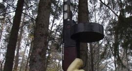 Fotka nr 1 z 11