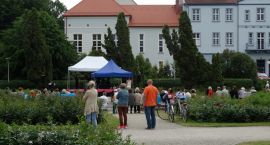 zdjęcie nr 33
