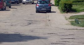 Fotka nr 4 z 6