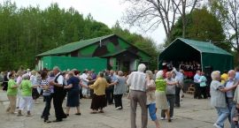 zdjęcie nr 33