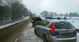 zdjęcie nr 7