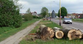 zdjęcie nr 14
