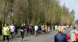 zdjęcie nr 12