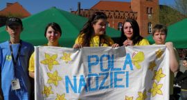 zdjęcie nr 7