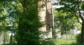 zdjęcie nr 9