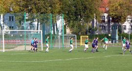 zdjęcie nr 8