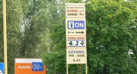 zdjęcie nr 10