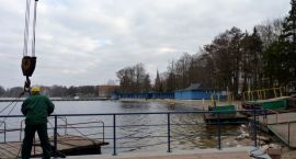 Fotka nr 5 z 6