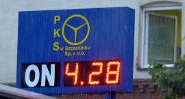 zdjęcie nr 10