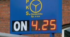 zdjęcie nr 5