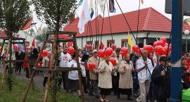 zdjęcie nr 30