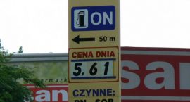 Fotka nr 4 z 8