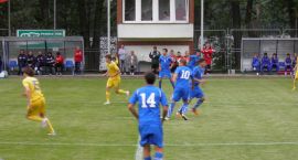 zdjęcie nr 13