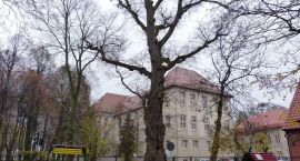 Fotka nr 5 z 6
