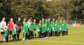 zdjęcie nr 12