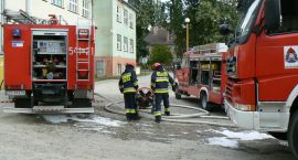 Fotka nr 5 z 10