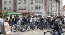 zdjęcie nr 15