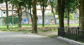 Fotka nr 4 z 6