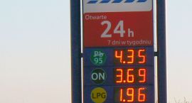 zdjęcie nr 7