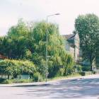 Fotka nr 3 z 4
