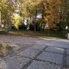 zdjęcie nr 48
