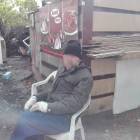 Fotka nr 2 z 3