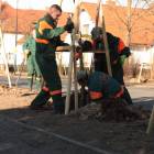 zdjęcie nr 79