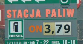 Fotka nr 1 z 8