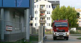 Fotka nr 5 z 11