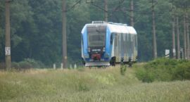 Fotka nr 1 z 5