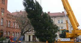 Fotka nr 5 z 9