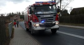 Fotka nr 4 z 5