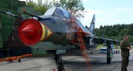 Fotka nr 2 z 6