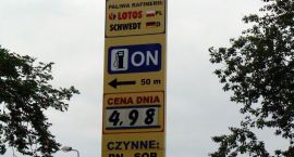 Fotka nr 5 z 8