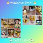zdjęcie nr 12