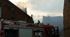 zdjęcie nr 13