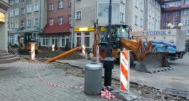 Fotka nr 3 z 8