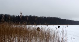 zdjęcie nr 13