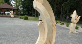 Fotka nr 3 z 19