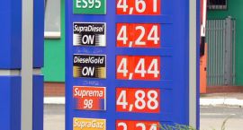 zdjęcie nr 7