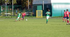 zdjęcie nr 12