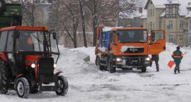 Fotka nr 1 z 4
