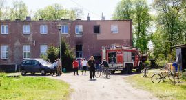 Fotka nr 3 z 8