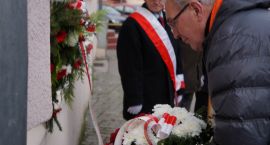 zdjęcie nr 7
