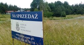 zdjęcie nr 9