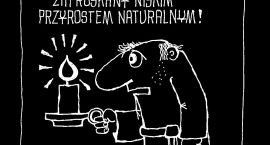 zdjęcie nr 14