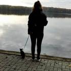 zdjęcie nr 22