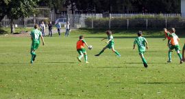 Fotka nr 5 z 8