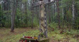 zdjęcie nr 14