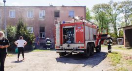 Fotka nr 1 z 8
